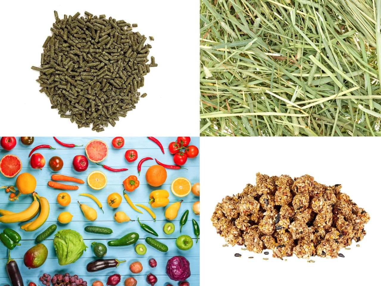 Visual Reference: What Is The Cheapest Guinea Pig Food