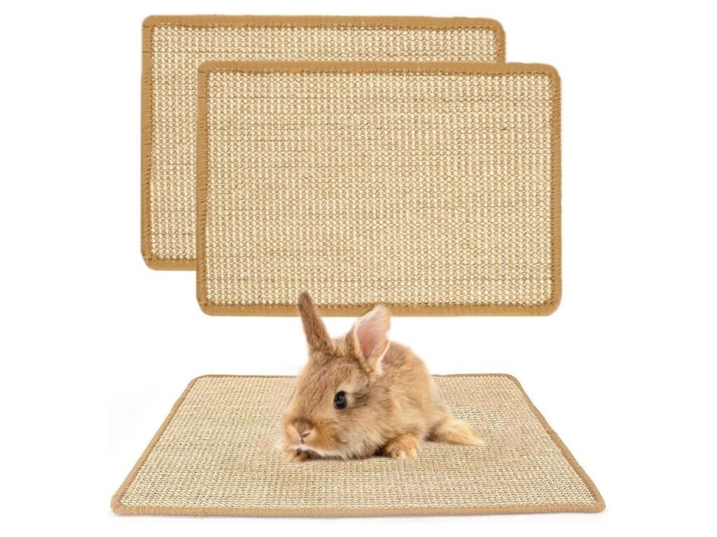 PODOO Bunny Scratch Pad