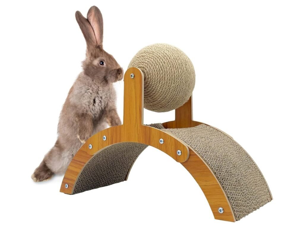 Fhiny Rabbit Scratch Toy