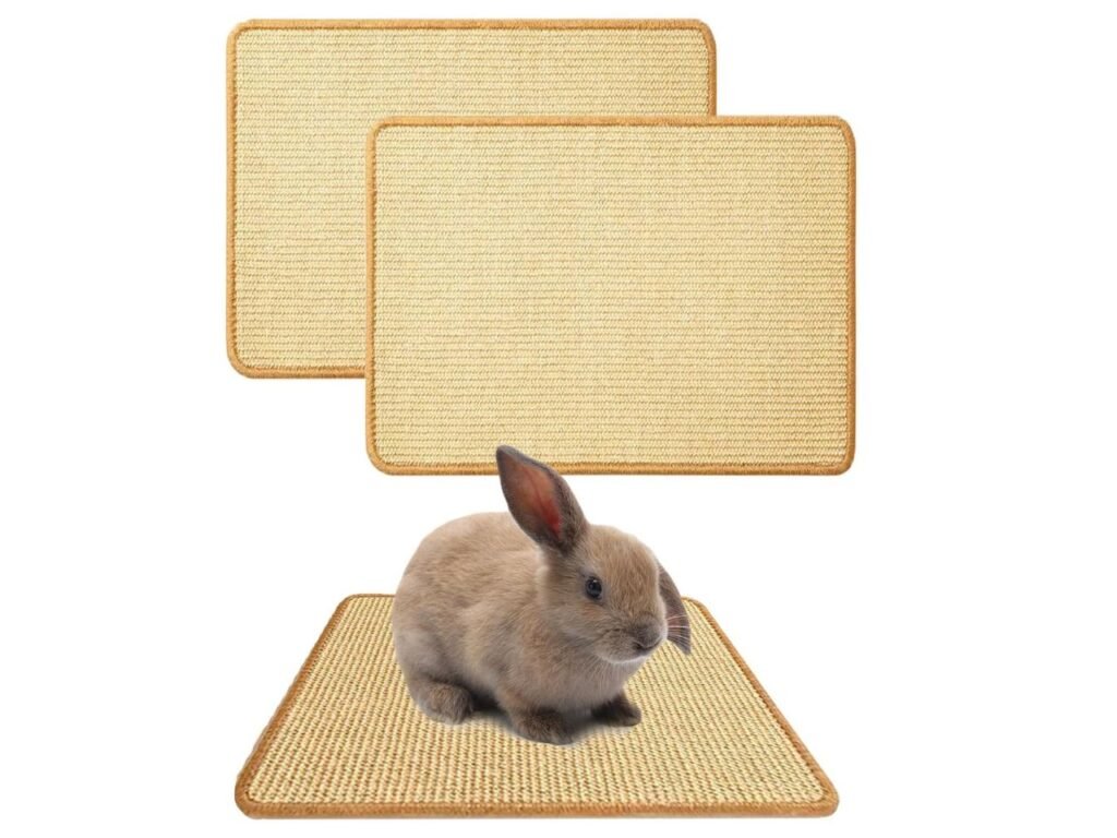 Oncpcare 2PCS Rabbit Scratch Mat