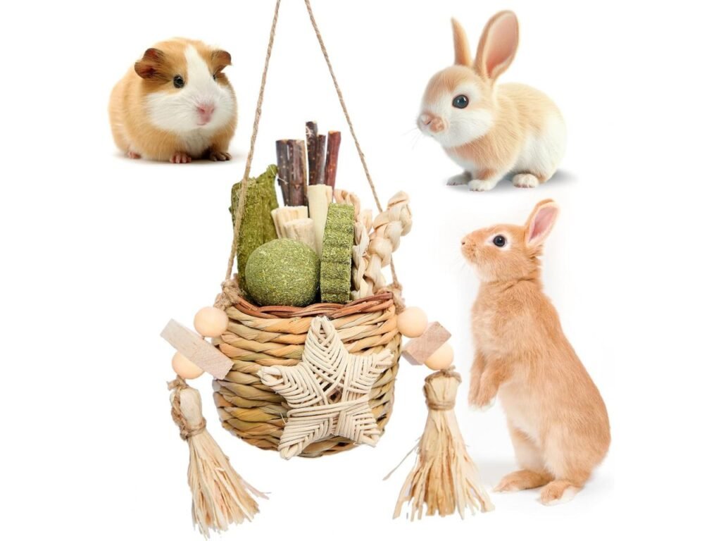 Jorewood Natural Reedgrass Chew Toy Basket for Small Pets 